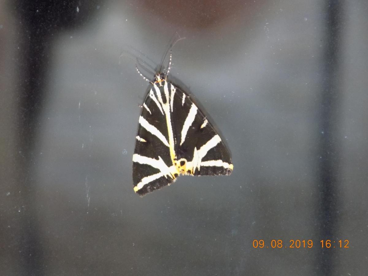 Вилла Les Papillons Vrolle Экстерьер фото